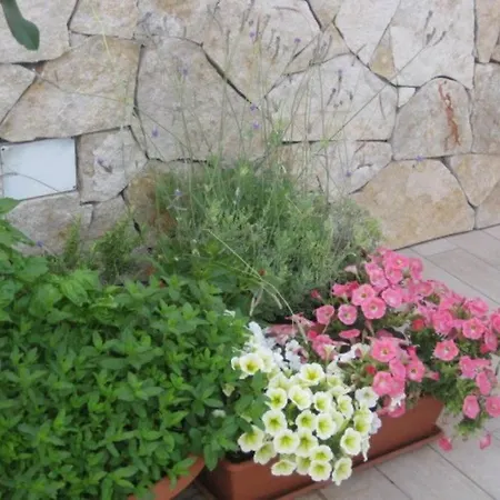 Perla Del Salento Apartment Porto Cesareo